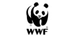 m-transition-clientele-02-wwf.jpg